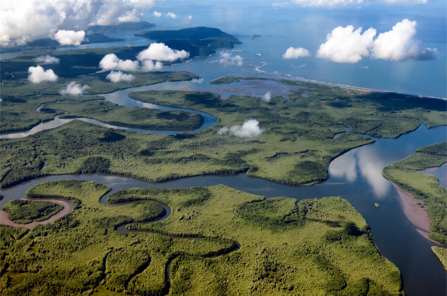 Vista aérea dos rios que se ligam ao oceano