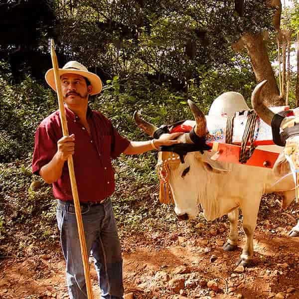 Turismo_Rural_2-min.jpg