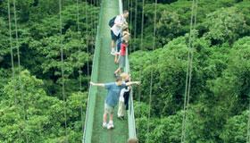 capa-ziplining.jpg