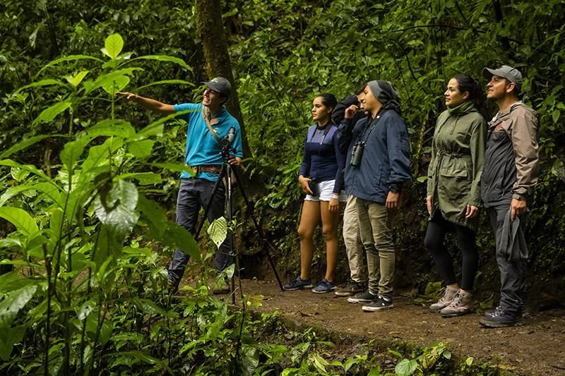 lateral guias puntarenas.webp